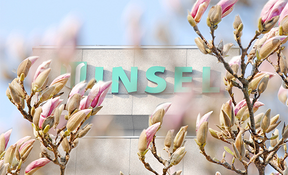Gebäude Inselspital mt Magnolienblüten im Vorderhrund